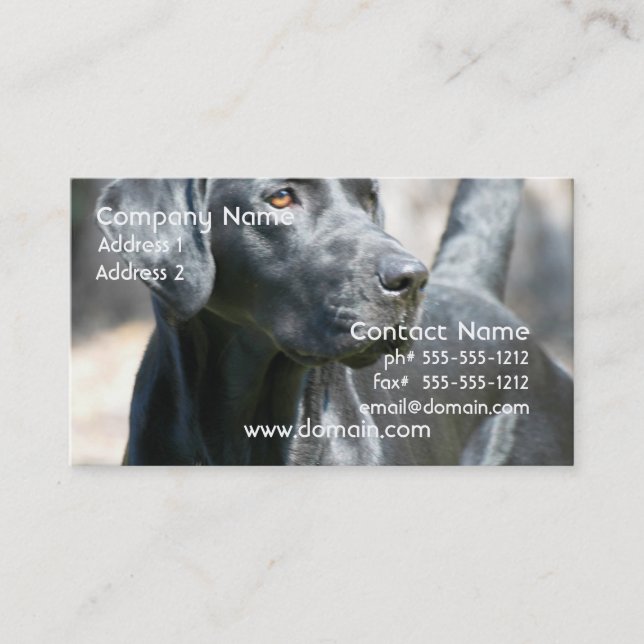 Alert Black Labrador Retriever Business Cards (Front)