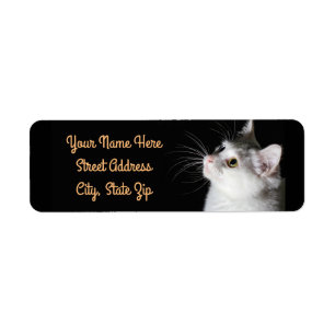 Alert Cat Return Address Label