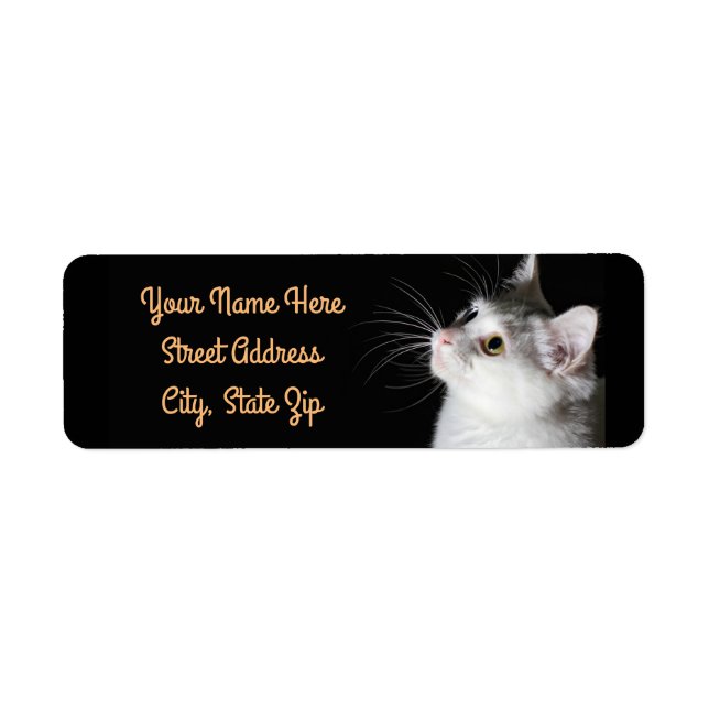Alert Cat Return Address Label (Front)