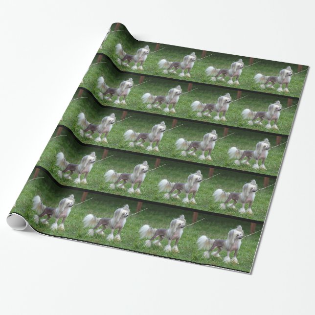 Alert Chinese Crested Dog Wrapping Paper (Unrolled)