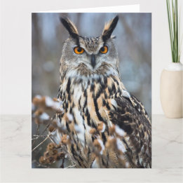 Alert Eagle Owl Card