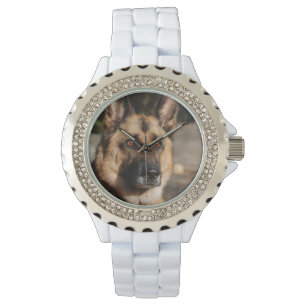 Alert German Shepherd Watch
