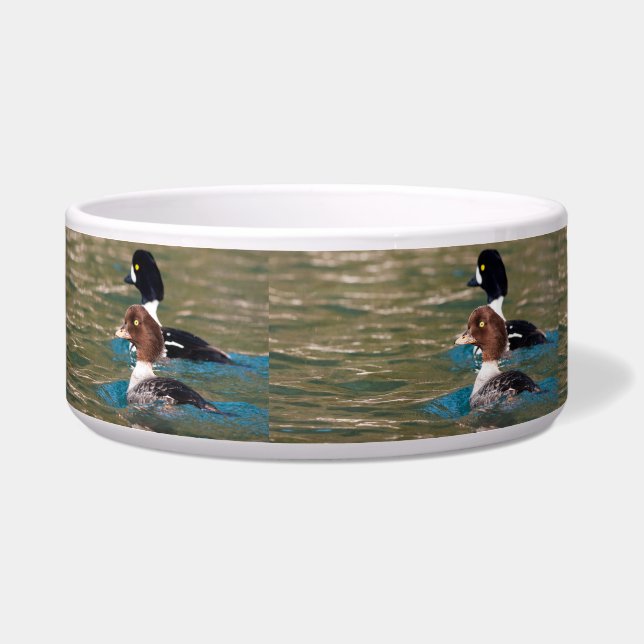 Alert Goldeneye (Left)