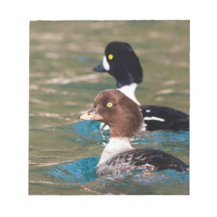 Alert Goldeneye Notepad