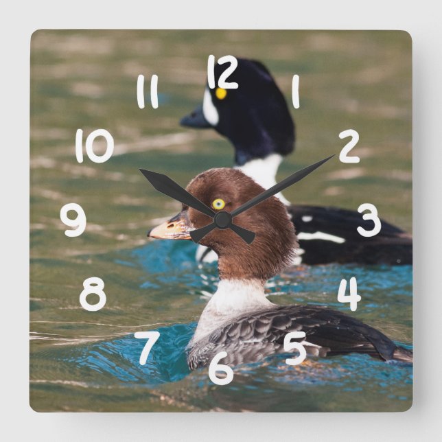 Alert Goldeneye Square Wall Clock (Front)
