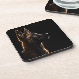 Alert Guardian Coaster
