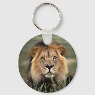 Alert Lion Key Ring
