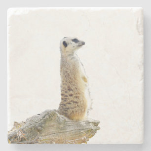 Alert Meerkat On Guard Duty, Stone Coaster