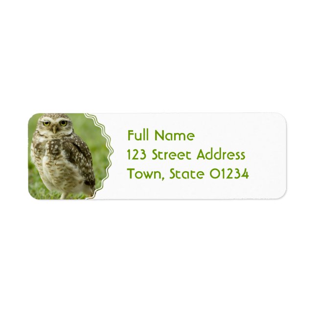 Alert Owl Address Labels (Front)