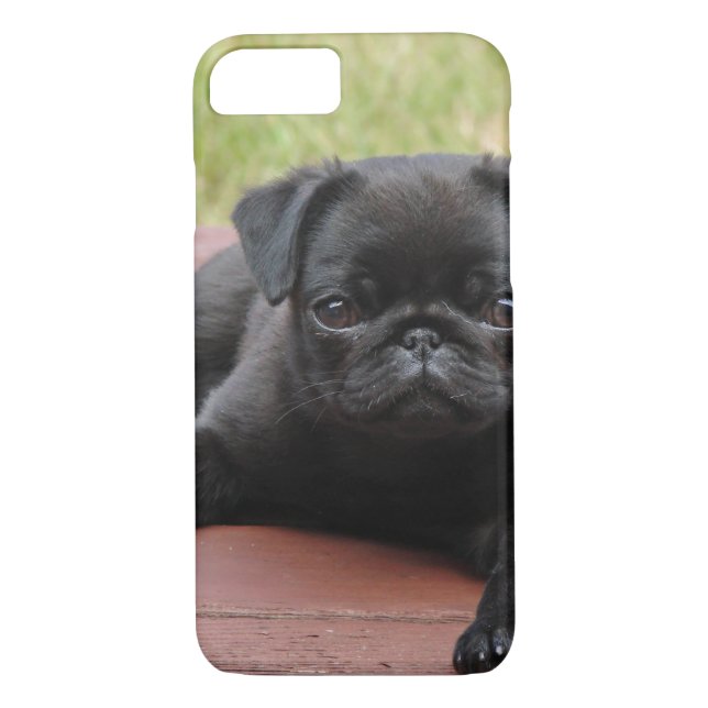 ALERT PUG PUPPY Case-Mate iPhone CASE (Back)