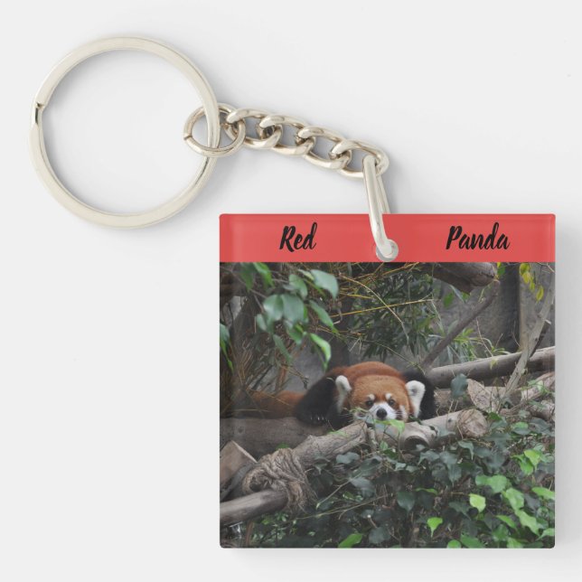 Alert Red Panda in a zoo Key Ring (Front)