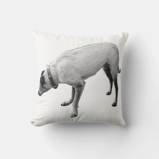 Alert Spirit of Fall Cushion (Front)