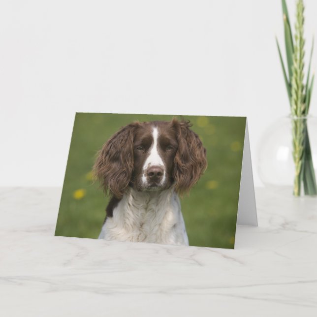 Alert springer card (Front)