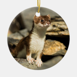 Alert Weasel Ceramic Tree Decoration