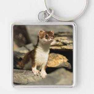 Alert Weasel Key Ring