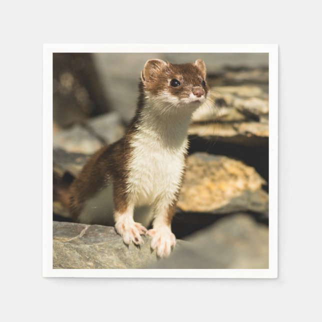 Alert Weasel Napkin (Front)