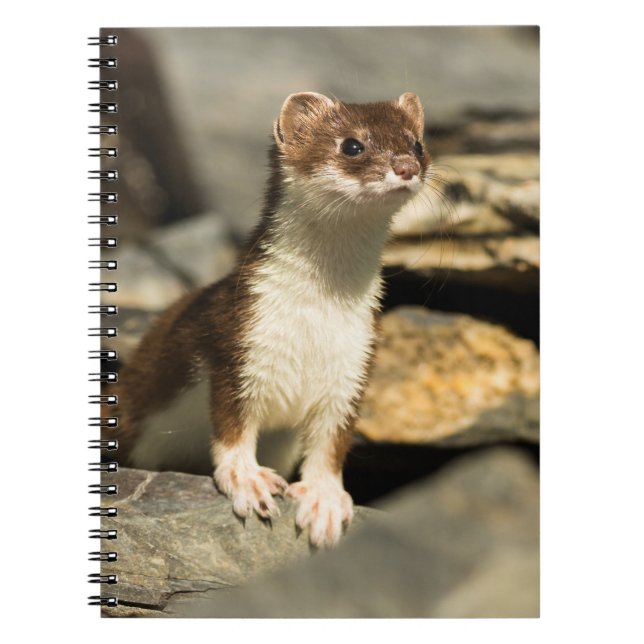 Alert Weasel Notebook (Front)