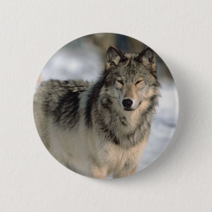 Alert Wolf 6 Cm Round Badge