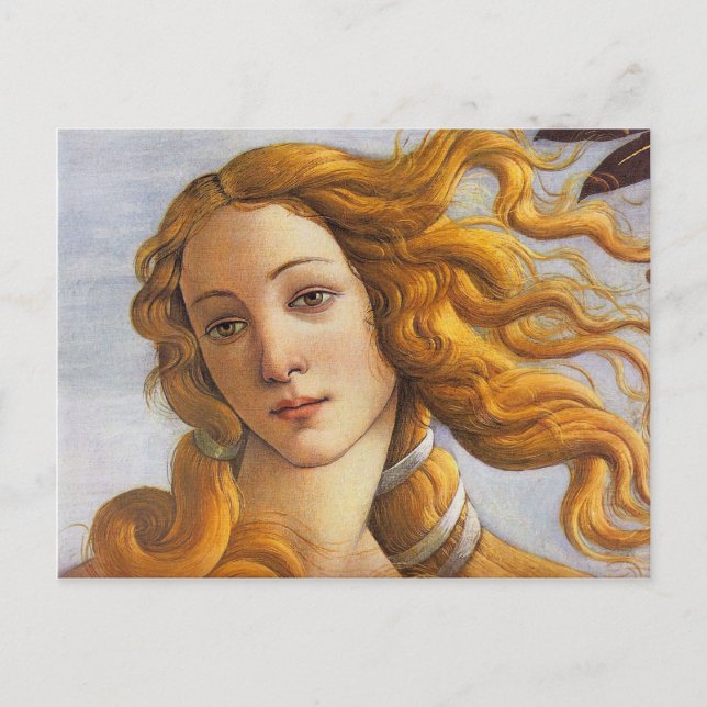 Alessandro Botticelli Birth of the Goddess Venus Postcard (Front)