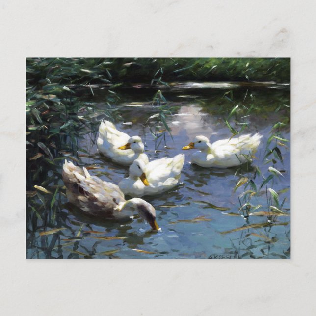 Alexander Koester Four Ducks in the Pond Postcard (Front)