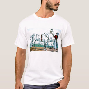 Alexander the horse, USA 1840 T-Shirt
