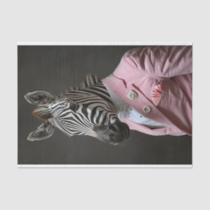 Alexander the Zebra Tissue Paper