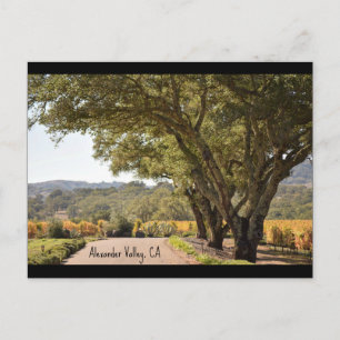Alexander Valley post card