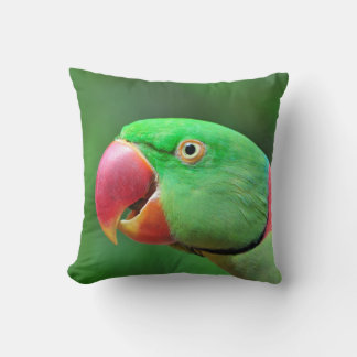 Alexandrine Parakeet Cushion