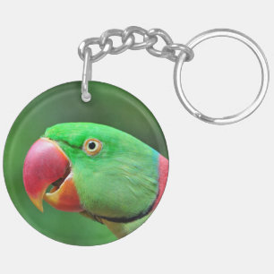 Alexandrine Parakeet Key Ring