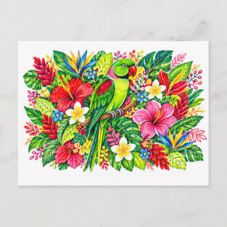 Alexandrine Parakeet Tropical Frangipani Strelitzi Postcard