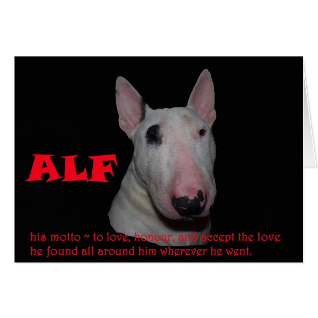 ALF accepting the love (Front Horizontal)