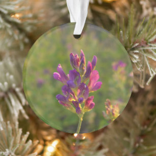 Alfalfa Flower Ornament