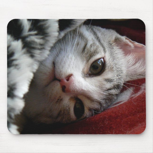 Alfie Mouse Pad (Front)