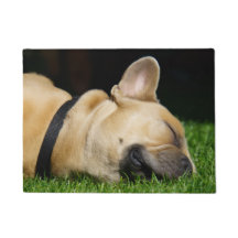 Alfombra de perro para hogar