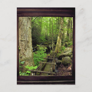 Alfred Reagan's Mill Postcard