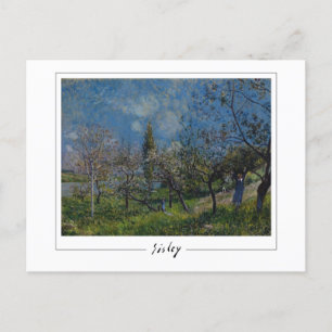Alfred Sisley #5 - Fine Art Postcard