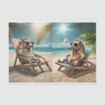 Alfredo & Valentino on the Cote d'Azur