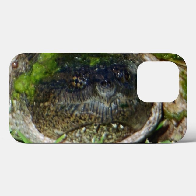 Algae Face Snapper Turtle  Case-Mate iPhone Case (Back (Horizontal))