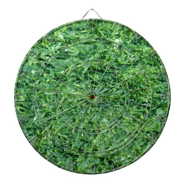 Algae green background dartboard (Front)