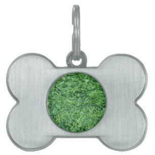 Algae green background pet ID tag