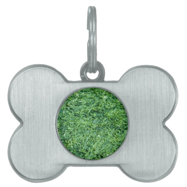 Algae green background pet ID tag (Front)