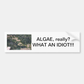 Algae our saviour bumper sticker