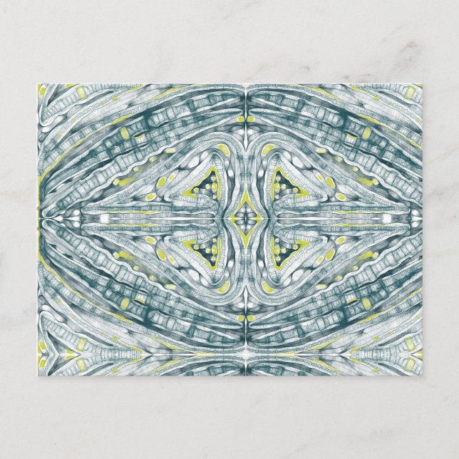 Algae Under Glass Postcard (Front)