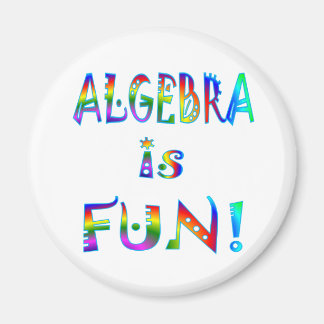 Algebra is Fun Magnet