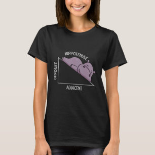 algebra math student math teacher hippotenuse T-Shirt