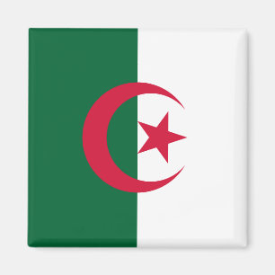 Algeria (Algerian) Flag Magnet