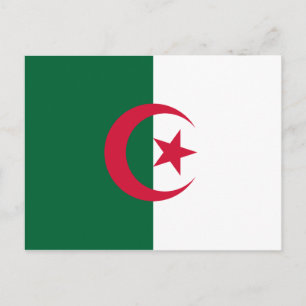 Algeria (Algerian) Flag Postcard