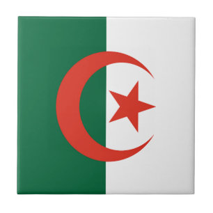 Algeria Ceramic Tile