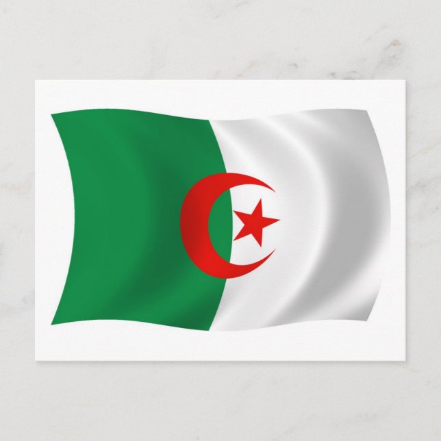 Algeria Flag Postcard (Front)