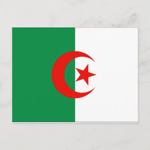 Algeria Flag Postcard